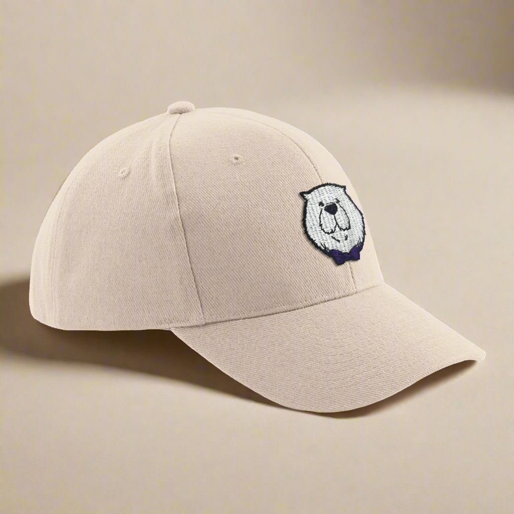 Enlace - Gorra